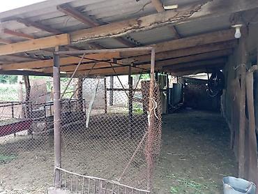 Распашные ворота: Продается большой дом с ПОДВАЛОМ! Панфиловский район, с.Чалдовар ул — 25