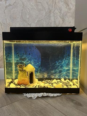 xiaomi akvarium: Akvaryum komplekti - Şüşə akvaryum, düzbucaqlı forma, qara çərçivə - — 1