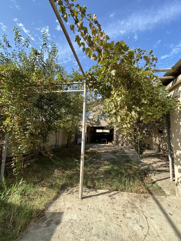 Bağ evlərinin satışı: Bakı, Novxanı, 100 kv. m, 3 otaqlı, Hovuzsuz, Qaz, İşıq, Su — 9