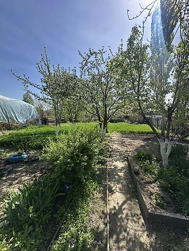 Продажа коттеджей и домов: 📍В центре Сокулука продаётся дом на участке 10 соток. 🏡Дом состоит — 3