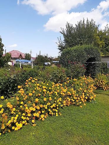 Продажа домов: Дом, 160 м², 6 комнат, Собственник, Косметический ремонт — 2