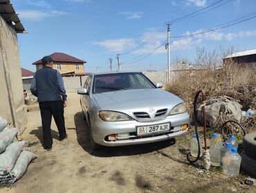 Nissan: Nissan Primera: 2000 г., 2 л, Механика, Бензин, Хэтчбэк