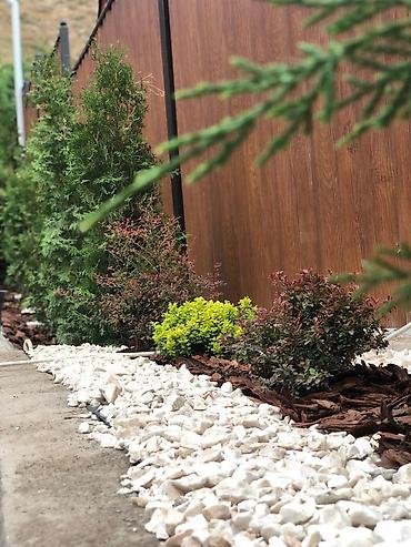 Газон: Автополив газона — легко и удобно! Установим систему автополива под — 8