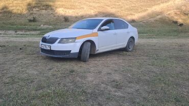 купить опель вектра б: Skoda Octavia: 2017 г., 1.6 л, Автомат, Бензин, Седан
