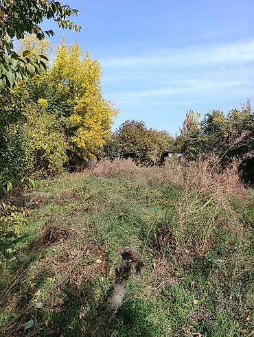 Продажа коттеджей и домов: 📌В селе Беловодское в районе центра продается дом из 4-х комнат на at lalafo.kg — 17 Продажа коттеджей и домов: 📌В селе Беловодское в районе центра продается дом из 4-х комнат на — 17