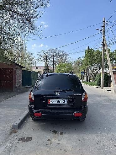 Hyundai: Hyundai Santa Fe: 2002 г., 2.4 л, Ручные, Бензин, Кроссовер — 4
