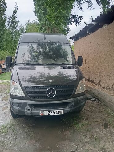 цыпленок суточный купить: Mercedes-Benz Спринтер: 2007 г., 2.2 л, Механика, Дизель, Бус