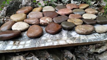 Dekorativ daşlar: Hər ölçüdə dekorativ daşların satışı və işlərin görülməsi çay daşları -da lalafo.az — 11 Dekorativ daşlar: Hər ölçüdə dekorativ daşların satışı və işlərin görülməsi çay daşları — 11