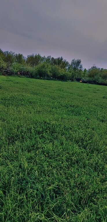 Torpaq sahələrinin satışı: 10 sot, Tikinti, Mülkiyyətçi, Bələdiyyə — 15