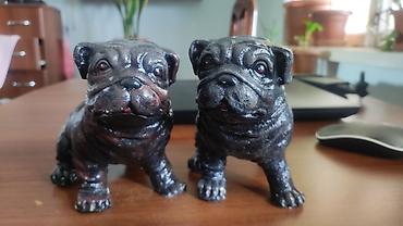 fransız bulldog: Fiqur, Gips — 6