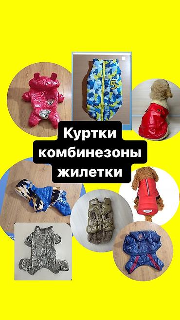 пекинес: Одежда для собак и кошек. По размерам НОВАЯ. ЦЕНА НА ОДЕЖДУ ОТ 200 — 1