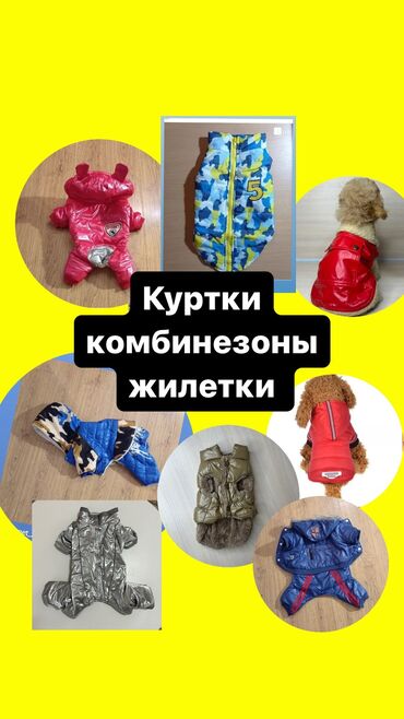 породы коров в кыргызстане: Одежда для собак и кошек. По размерам НОВАЯ. ЦЕНА НА ОДЕЖДУ ОТ 200