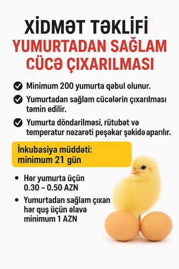 ГАЗ: Yumurtadan Sağlam Cücə Çıxarma Xidməti Əziz quşçuluq həvəskarları və