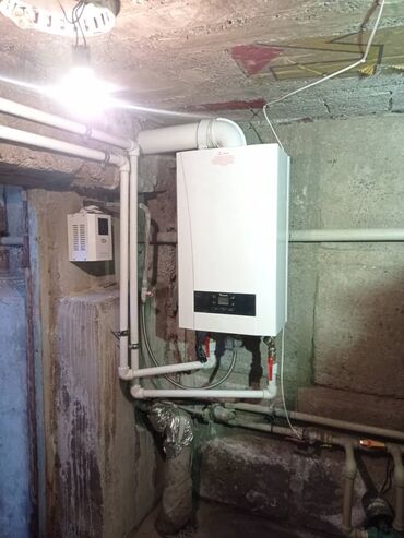 Двери для печей: Настенные котлы серии Hubert DL и WL Одноконтурные и двухконтурные — 18