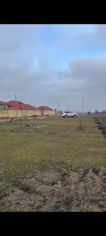 земельные участки в кусарах: Собственник