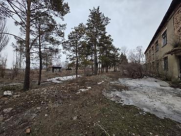 the level: 220 соток, Для бизнеса, Красная книга — 10