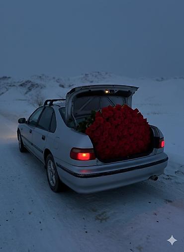 Honda: Honda Accord: 1998 г., 1.8 л, Механика, Бензин, Седан — 9