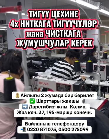 работа горничная отель: Тикмечи 4 жиптүү. Көлмө ж/м