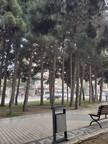 Köhnə tikili: Bakı, 3 otaqlı, Köhnə tikili, 60 kv. m — 16