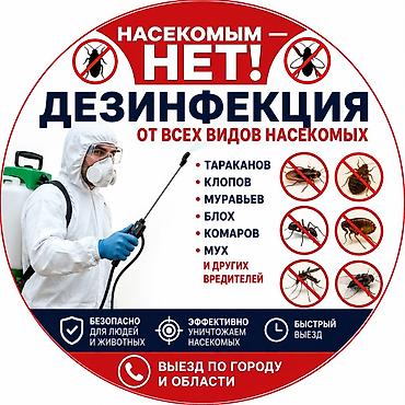 Профессиональная дезинсекция от любых насекомых Услуга направлена на