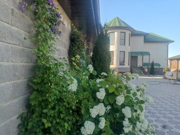 Продажа домов: Дом, 310 м², 7 комнат, Собственник, Евроремонт — 3