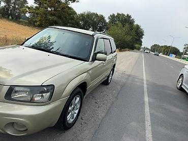 форестер 2008: Subaru Forester: 2003 г., 2 л, Автомат, Бензин, Кроссовер — 3