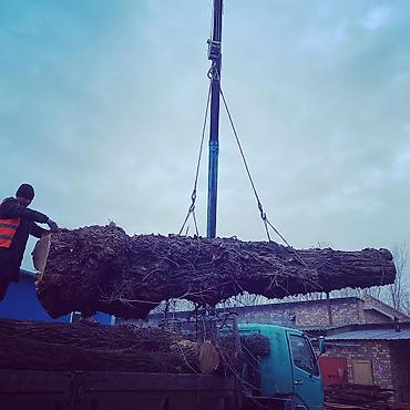 Услуги манипулятора: Стрела 8 м, 3 т, Борт 9000 кг — 6