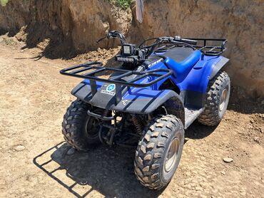 Квадроциклы: Квадроцикл Yamaha, Бензин, 130 куб. см, Взрослый