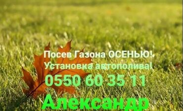 ландшафт дизайн: Профессиональные услуги по устройству газона и автополива. Что