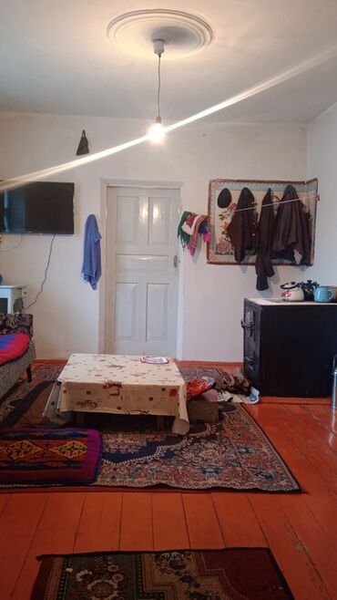 Другие комнатные растения: Талас шаары Танабаев 265кочосу техникумдун аркасында жайгашкан — 10