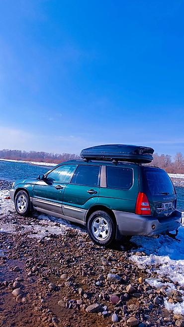byd e9 1: Subaru Forester: 2003 г., 0.2 л, Механика, Газ, Универсал — 3