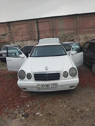 Mercedes-Benz: Mercedes-Benz : 2.5 l | 1996 il — 4