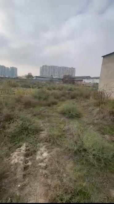 Torpaq sahələrinin satışı: 32 sot, Biznes üçün, Mülkiyyətçi, Kupça (Çıxarış) — 1