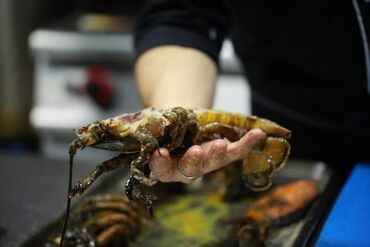 Aşpazlar: İsti sex, 42 il, 6 ildən artıq təcrübə — 5