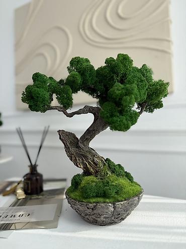 Другой декор и предметы интерьера: Декоративное дерево бонсай, выполненное из стабилизированного мха — 35