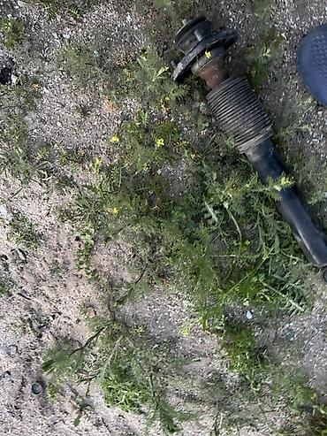 Digər xodovoy detalları: BMW X5, 2005 il, Orijinal, İşlənmiş — 2