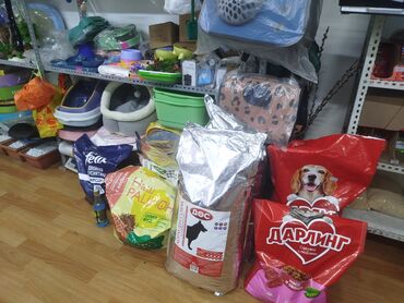 Аквариумы: Предлагается набор маленьких красноухих черепах. Эти черепахи отлично — 9