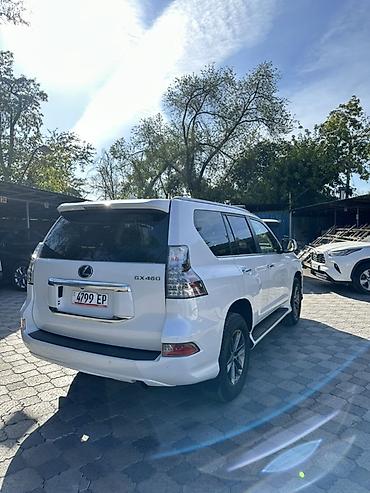 byd e5 2020: Lexus GX: 2020 г., 4.6 л, Автомат, Бензин, Внедорожник — 5