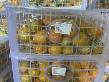 товары из ирана: Мандарины Оптом