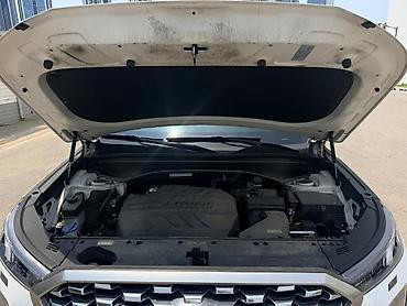 2022: Hyundai Palisade: 2022 г., 2.2 л, Дизель, Кроссовер — 9