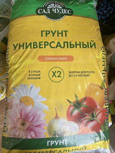 пион рассада купить в Кыргызстан | Куплю дом: Торф для рассады универсальный Производства Рассия Вес 13-14 кг