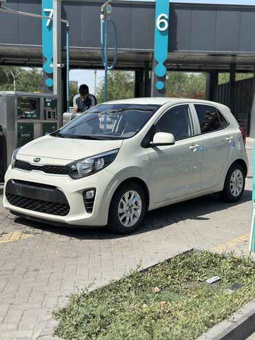 рассрочка авто бишкек без первоначального взноса: Kia Morning: 2019 г., 1 л, Автомат, Бензин, Хетчбек