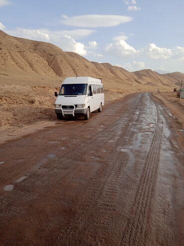 люки на спринтер: Mercedes-Benz Sprinter: 1996 г., 2.9 л, Механика, Дизель, Бус