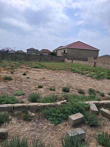 mehemmedi torpaq satilir: Tikinti, Mülkiyyətçi, Kupça (Çıxarış) — 3