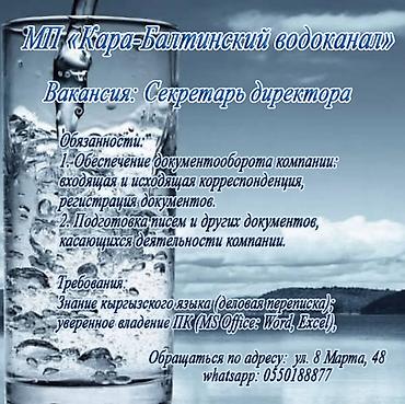 Административный персонал: Офис-менеджер — 2