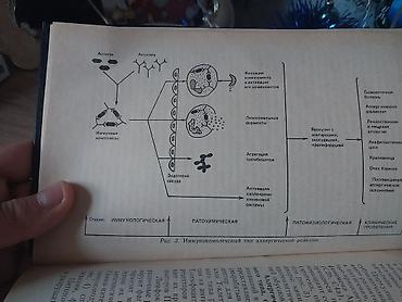 Kitablar və jurnallar: Книга:клиническая аллергология kitab 510 səhifədən ibarətdir içində — 8