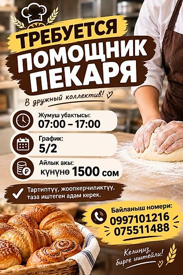 работа помощник пекаря: Требуется Пекарь, Оплата: Ежедневно — 1