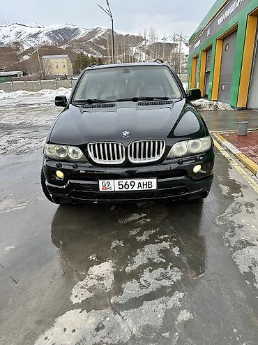 BMW: BMW X5: 2004 г., 4.8 л, Автомат, Бензин, Кроссовер — 8