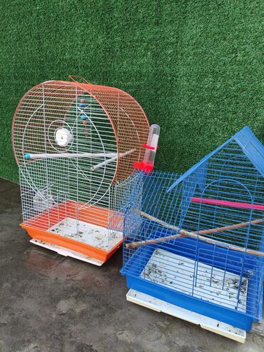 Qəfəslər: Qəfəslər quşlar — 9