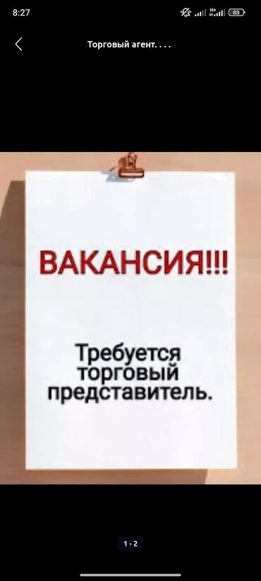 ищу няню с проживанием: Торговый агент. С личным транспортом